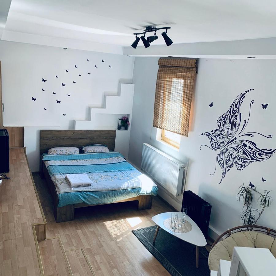 My Place - Butterflies Sibiu Buitenkant foto